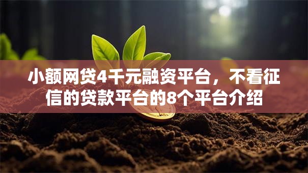 小额网贷4千元融资平台,不看征信的贷款平台的8个平台介绍 小额网贷4千元融资平台,不看征信的贷款平台的8个平台介绍