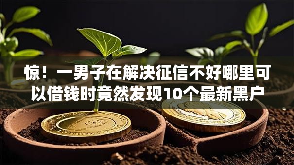 惊！一男子在解决征信不好哪里可以借钱时竟然发现10个最新黑户能下款的app口子，事后分享了出来