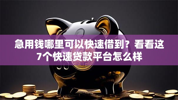 急用钱哪里可以快速借到?看看这7个快速贷款平台怎么样 急用钱哪里可以快速借到?看看这7个快速贷款平台怎么样