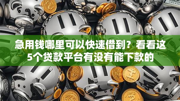 急用钱哪里可以快速借到?看看这5个贷款平台有没有能下款的 急用钱哪里可以快速借到?看看这5个贷款平台有没有能下款的