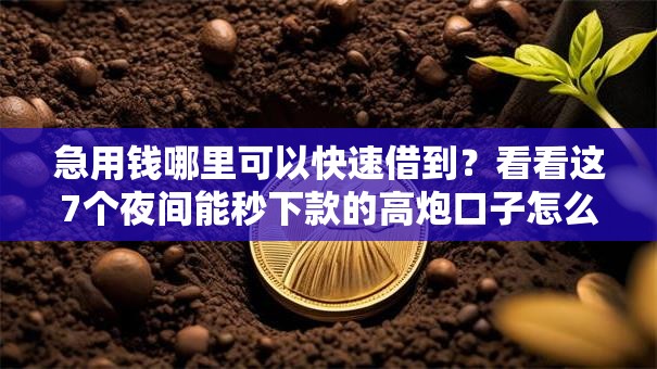 急用钱哪里可以快速借到?看看这7个夜间能秒下款的高炮口子怎么样 急用钱哪里可以快速借到?看看这7个夜间能秒下款的高炮口子怎么样