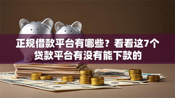 正规借款平台有哪些?看看这7个贷款平台有没有能下款的 正规借款平台有哪些?看看这7个贷款平台有没有能下款的