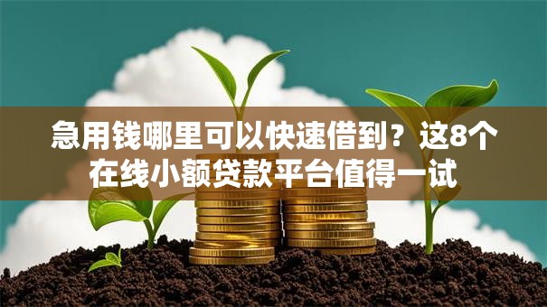 急用钱哪里可以快速借到?这8个在线小额贷款平台值得一试 急用钱哪里可以快速借到?这8个在线小额贷款平台值得一试