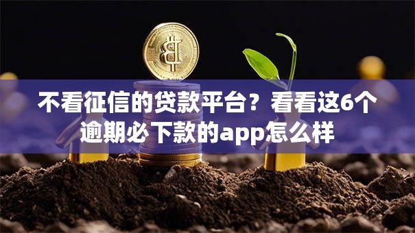 不看征信的贷款平台？看看这6个逾期必下款的app怎么样