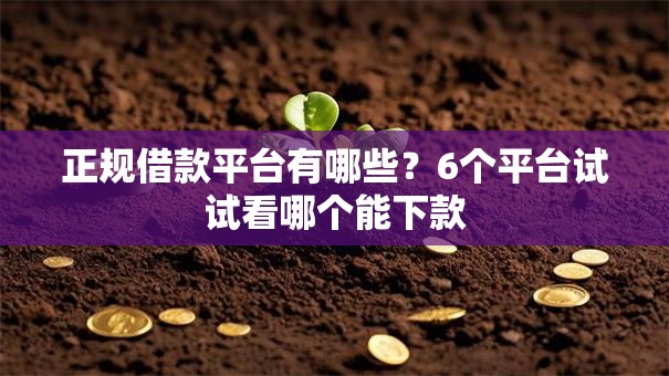 正规借款平台有哪些？6个平台试试看哪个能下款