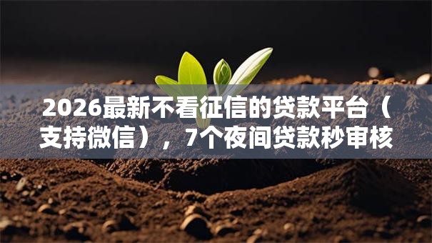 2026最新不看征信的贷款平台（支持微信），7个夜间贷款秒审核秒下款的平台无私分享