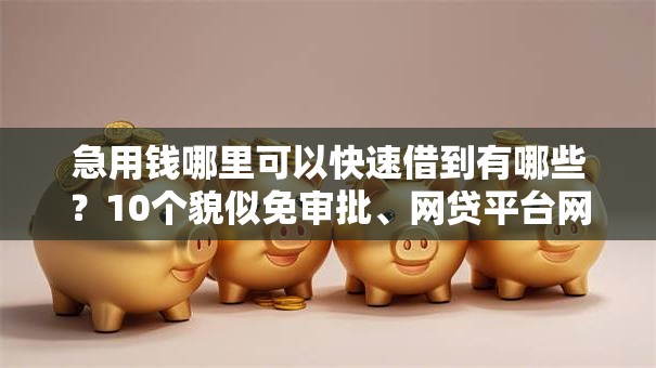 急用钱哪里可以快速借到有哪些？10个貌似免审批、网贷平台网贷怎么样合集