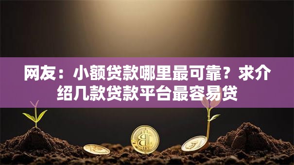 网友：小额贷款哪里最可靠？求介绍几款贷款平台最容易贷