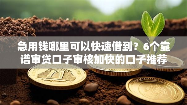 急用钱哪里可以快速借到？6个靠谱审贷口子审核加快的口子推荐