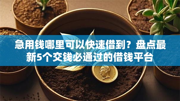 急用钱哪里可以快速借到？盘点最新5个交钱必通过的借钱平台