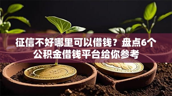 征信不好哪里可以借钱?盘点6个公积金借钱平台给你参考 征信不好哪里可以借钱?盘点6个公积金借钱平台给你参考