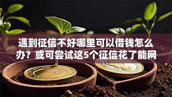 遇到征信不好哪里可以借钱怎么办？或可尝试这5个征信花了能网贷的口子