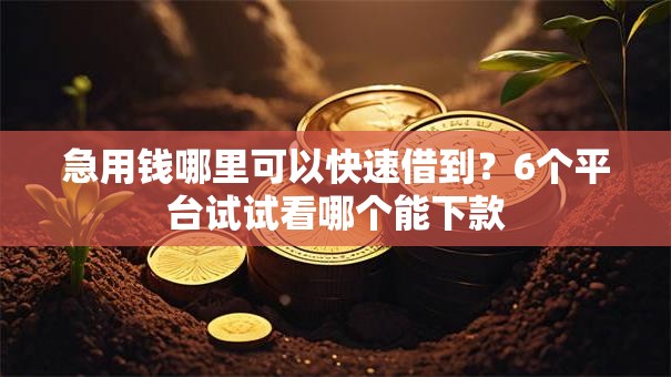急用钱哪里可以快速借到？6个平台试试看哪个能下款