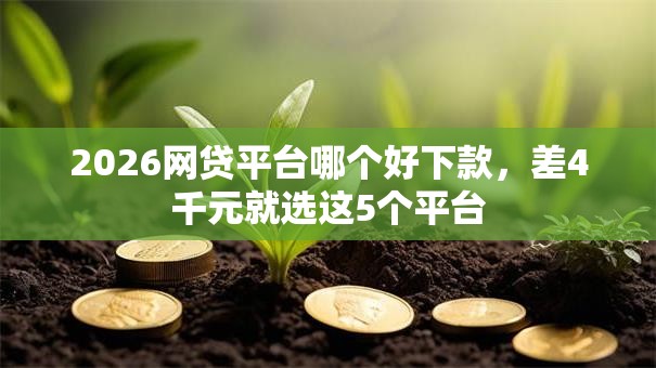 2026网贷平台哪个好下款，差4千元就选这5个平台