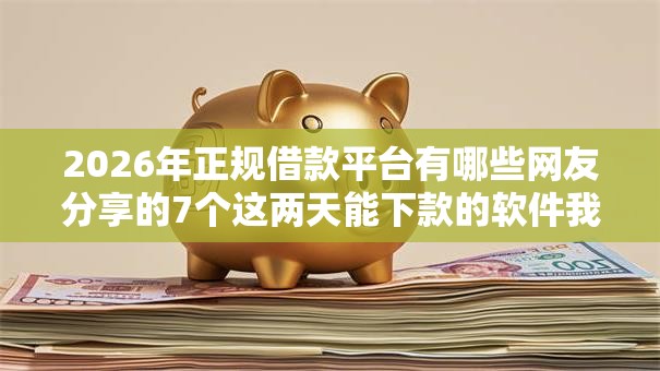 2026年正规借款平台有哪些网友分享的7个这两天能下款的软件我觉得不错！