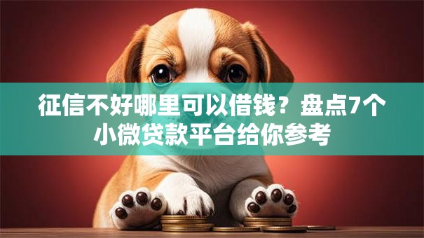 征信不好哪里可以借钱?盘点7个小微贷款平台给你参考 征信不好哪里可以借钱?盘点7个小微贷款平台给你参考