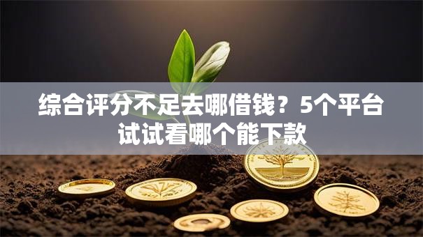 综合评分不足去哪借钱?5个平台试试看哪个能下款 综合评分不足去哪借钱?5个平台试试看哪个能下款
