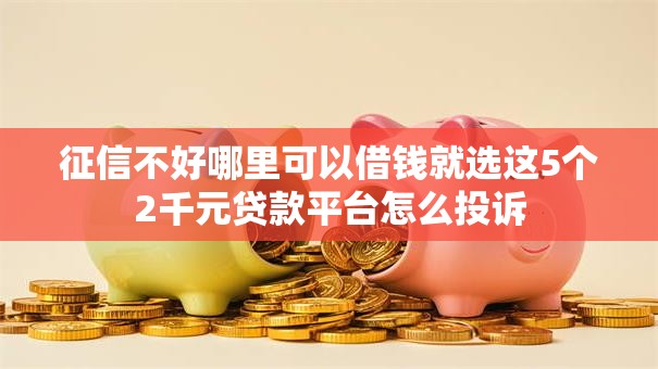 征信不好哪里可以借钱就选这5个2千元贷款平台怎么投诉 征信不好哪里可以借钱就选这5个2千元贷款平台怎么投诉