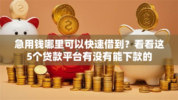 急用钱哪里可以快速借到?看看这5个贷款平台有没有能下款的 急用钱哪里可以快速借到?看看这5个贷款平台有没有能下款的