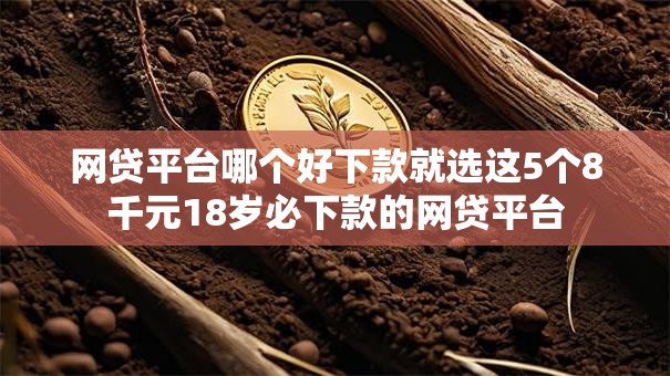 网贷平台哪个好下款就选这5个8千元18岁必下款的网贷平台 网贷平台哪个好下款就选这5个8千元18岁必下款的网贷平台