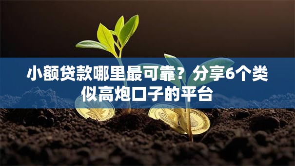 小额贷款哪里最可靠？分享6个类似高炮口子的平台