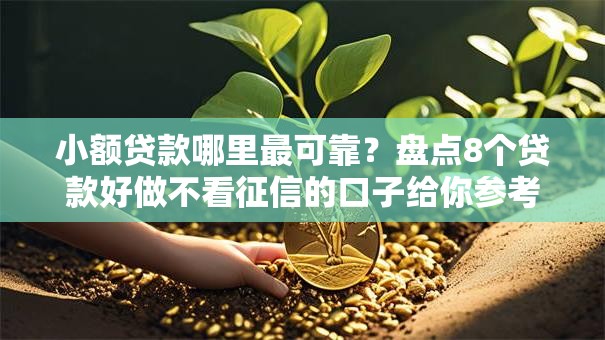 小额贷款哪里最可靠?盘点8个贷款好做不看征信的口子给你参考 小额贷款哪里最可靠?盘点8个贷款好做不看征信的口子给你参考