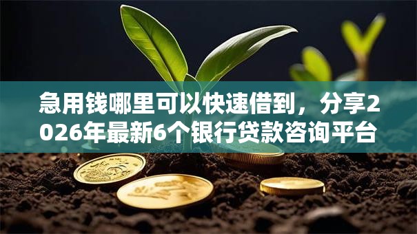 急用钱哪里可以快速借到,分享2026年最新6个银行贷款咨询平台 急用钱哪里可以快速借到,分享2026年最新6个银行贷款咨询平台