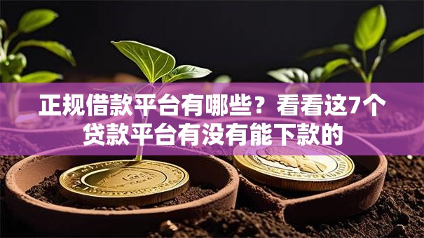 正规借款平台有哪些？看看这7个贷款平台有没有能下款的
