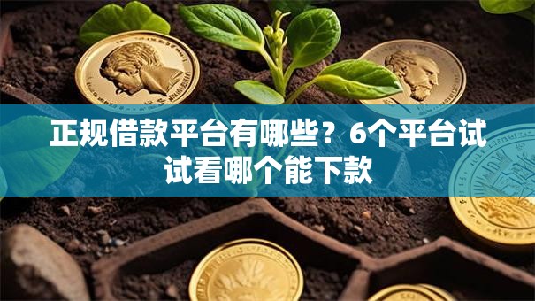 正规借款平台有哪些?6个平台试试看哪个能下款 正规借款平台有哪些?6个平台试试看哪个能下款