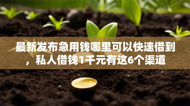 最新发布急用钱哪里可以快速借到,私人借钱1千元有这6个渠道 最新发布急用钱哪里可以快速借到,私人借钱1千元有这6个渠道