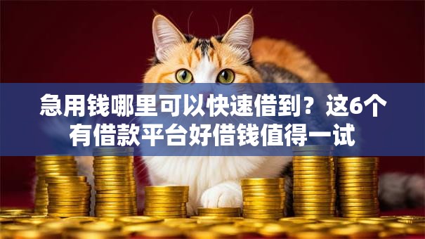 急用钱哪里可以快速借到?这6个有借款平台好借钱值得一试 急用钱哪里可以快速借到?这6个有借款平台好借钱值得一试