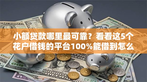小额贷款哪里最可靠?看看这5个花户借钱的平台100%能借到怎么样 小额贷款哪里最可靠?看看这5个花户借钱的平台100%能借到怎么样