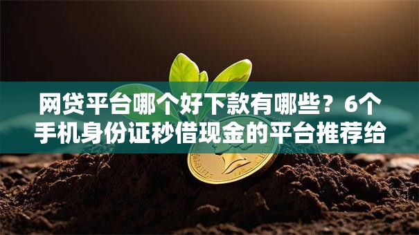 网贷平台哪个好下款有哪些?6个手机身份证秒借现金的平台推荐给你 网贷平台哪个好下款有哪些?6个手机身份证秒借现金的平台推荐给你