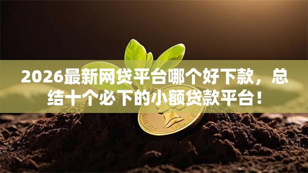 2026最新网贷平台哪个好下款,总结十个必下的小额贷款平台! 2026最新网贷平台哪个好下款,总结十个必下的小额贷款平台!