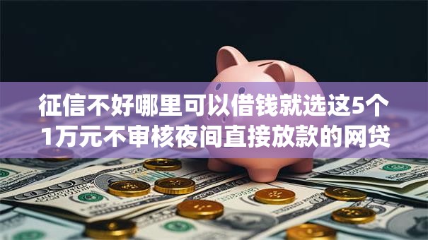 征信不好哪里可以借钱就选这5个1万元不审核夜间直接放款的网贷app 征信不好哪里可以借钱就选这5个1万元不审核夜间直接放款的网贷app