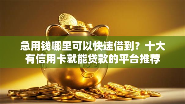急用钱哪里可以快速借到?十大有信用卡就能贷款的平台推荐 急用钱哪里可以快速借到?十大有信用卡就能贷款的平台推荐