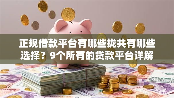 正规借款平台有哪些拢共有哪些选择?9个所有的贷款平台详解 正规借款平台有哪些拢共有哪些选择?9个所有的贷款平台详解