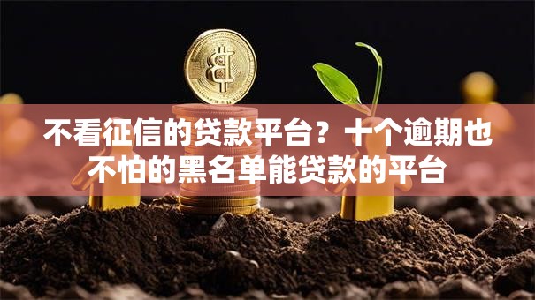 不看征信的贷款平台？十个逾期也不怕的黑名单能贷款的平台