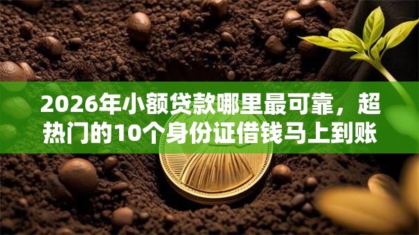 2026年小额贷款哪里最可靠,超热门的10个身份证借钱马上到账的平台推荐 2026年小额贷款哪里最可靠,超热门的10个身份证借钱马上到账的平台推荐