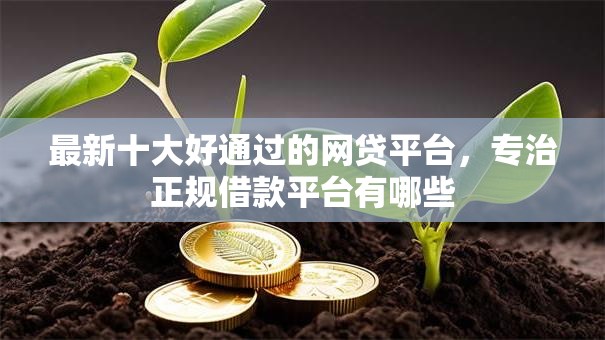 最新十大好通过的网贷平台，专治正规借款平台有哪些