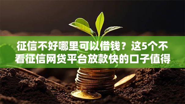 征信不好哪里可以借钱?这5个不看征信网贷平台放款快的口子值得一试 征信不好哪里可以借钱?这5个不看征信网贷平台放款快的口子值得一试