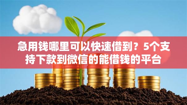 急用钱哪里可以快速借到?5个支持下款到微信的能借钱的平台 急用钱哪里可以快速借到?5个支持下款到微信的能借钱的平台