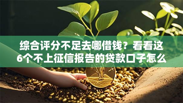 综合评分不足去哪借钱？看看这6个不上征信报告的贷款口子怎么样