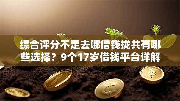 综合评分不足去哪借钱拢共有哪些选择?9个17岁借钱平台详解 综合评分不足去哪借钱拢共有哪些选择?9个17岁借钱平台详解