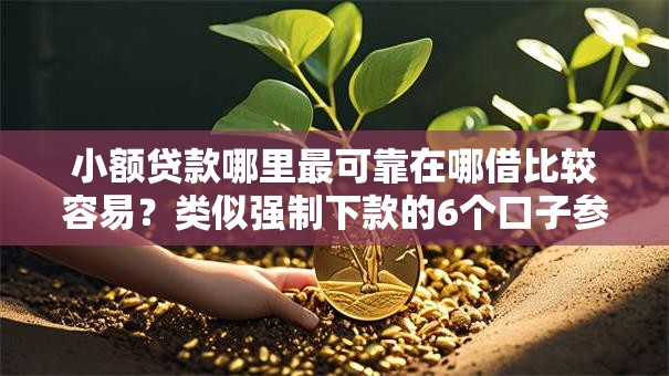 小额贷款哪里最可靠在哪借比较容易?类似强制下款的6个口子参考 小额贷款哪里最可靠在哪借比较容易?类似强制下款的6个口子参考