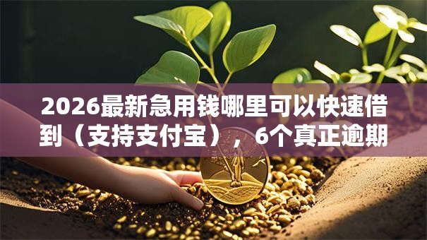 2026最新急用钱哪里可以快速借到(支持支付宝),6个真正逾期也能贷的平台无私分享 2026最新急用钱哪里可以快速借到(支持支付宝),6个真正逾期也能贷的平台无私分享