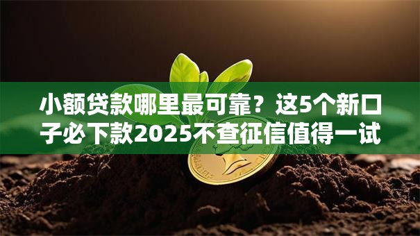 小额贷款哪里最可靠?这5个新口子必下款2025不查征信值得一试 小额贷款哪里最可靠?这5个新口子必下款2025不查征信值得一试