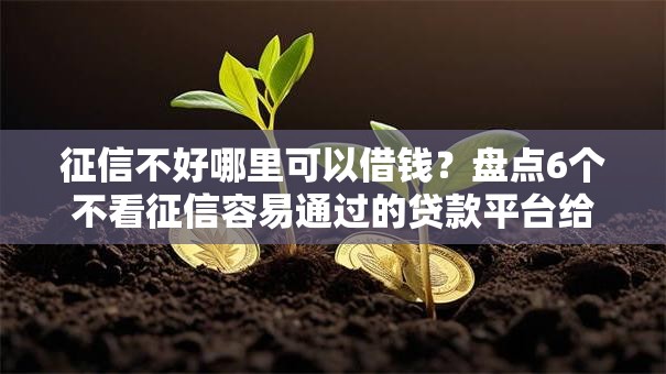 征信不好哪里可以借钱?盘点6个不看征信容易通过的贷款平台给你参考 征信不好哪里可以借钱?盘点6个不看征信容易通过的贷款平台给你参考