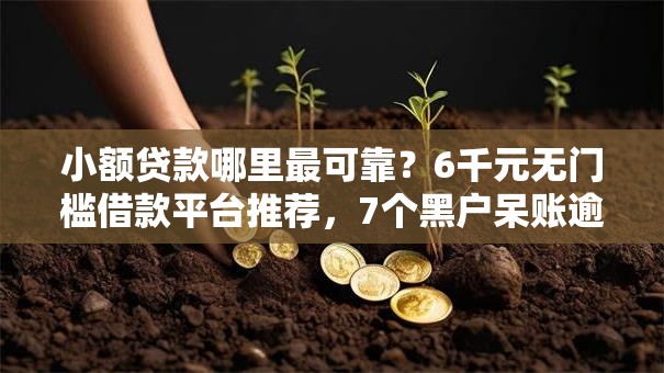 小额贷款哪里最可靠？6千元无门槛借款平台推荐，7个黑户呆账逾期能下的口子盘点
