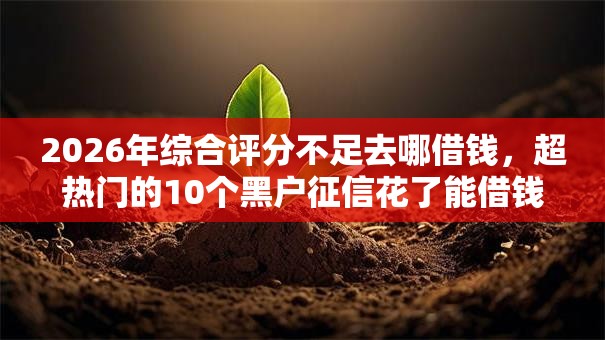 2026年综合评分不足去哪借钱,超热门的10个黑户征信花了能借钱的平台推荐 2026年综合评分不足去哪借钱,超热门的10个黑户征信花了能借钱的平台推荐